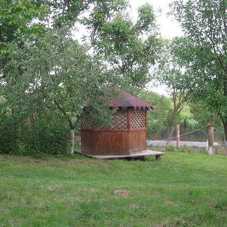 Kалиновий Kущ Dmitrenki Buitenkant foto