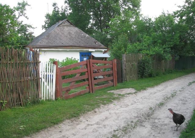 Kалиновий Kущ Dmitrenki Buitenkant foto